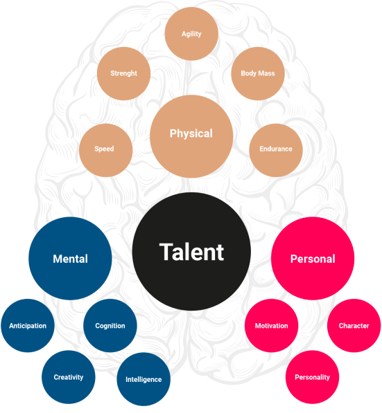 Brain Graph Brain Graph